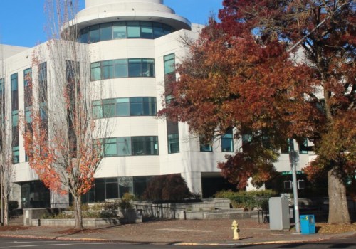 The Impact of Social Media on Political Advocacies in Multnomah County, Oregon